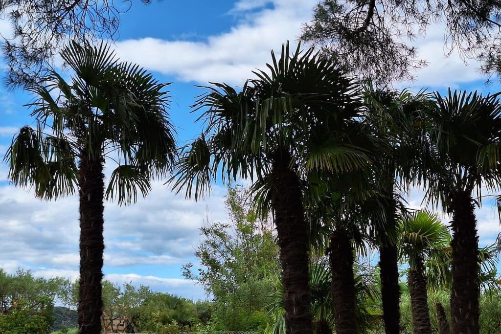 Sous Le Grand Pin Gites Eden En Cevennes Anduze Ngoại thất bức ảnh